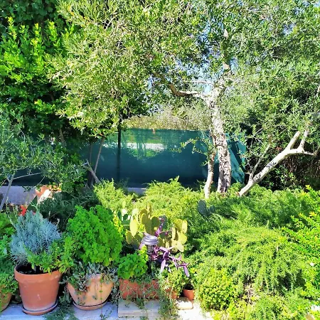 Spacious In With Garden