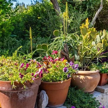 Spacious In With Garden *