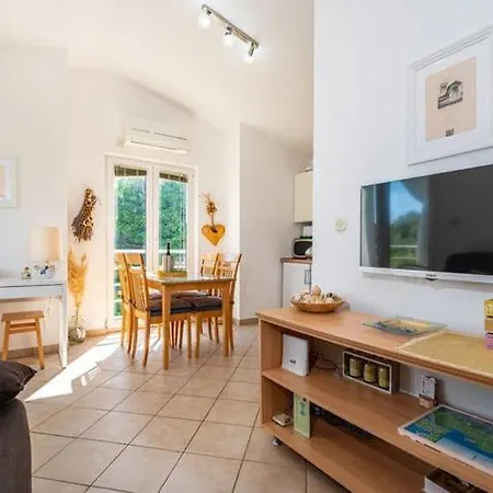 Spacious In With Garden * Bibinje