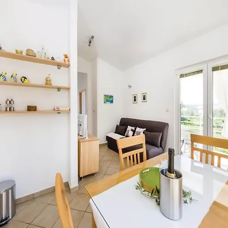 Spacious In With Garden Holiday home Bibinje